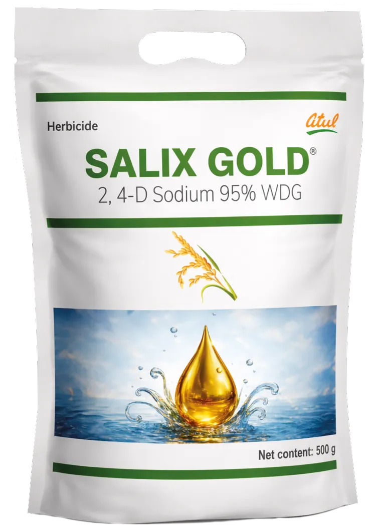 Salix Gold